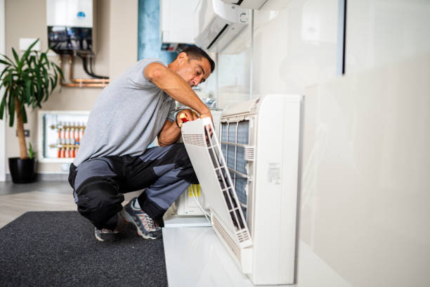 Best Home Air Vent Cleaning  in Denison, IA