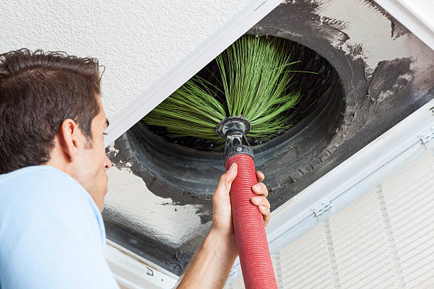 Best Air Vent Cleaning Services  in Denison, IA