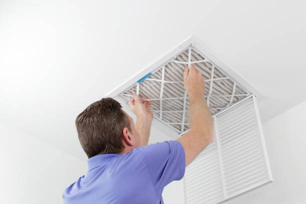 Best Air Duct Cleaning Near Me  in Denison, IA